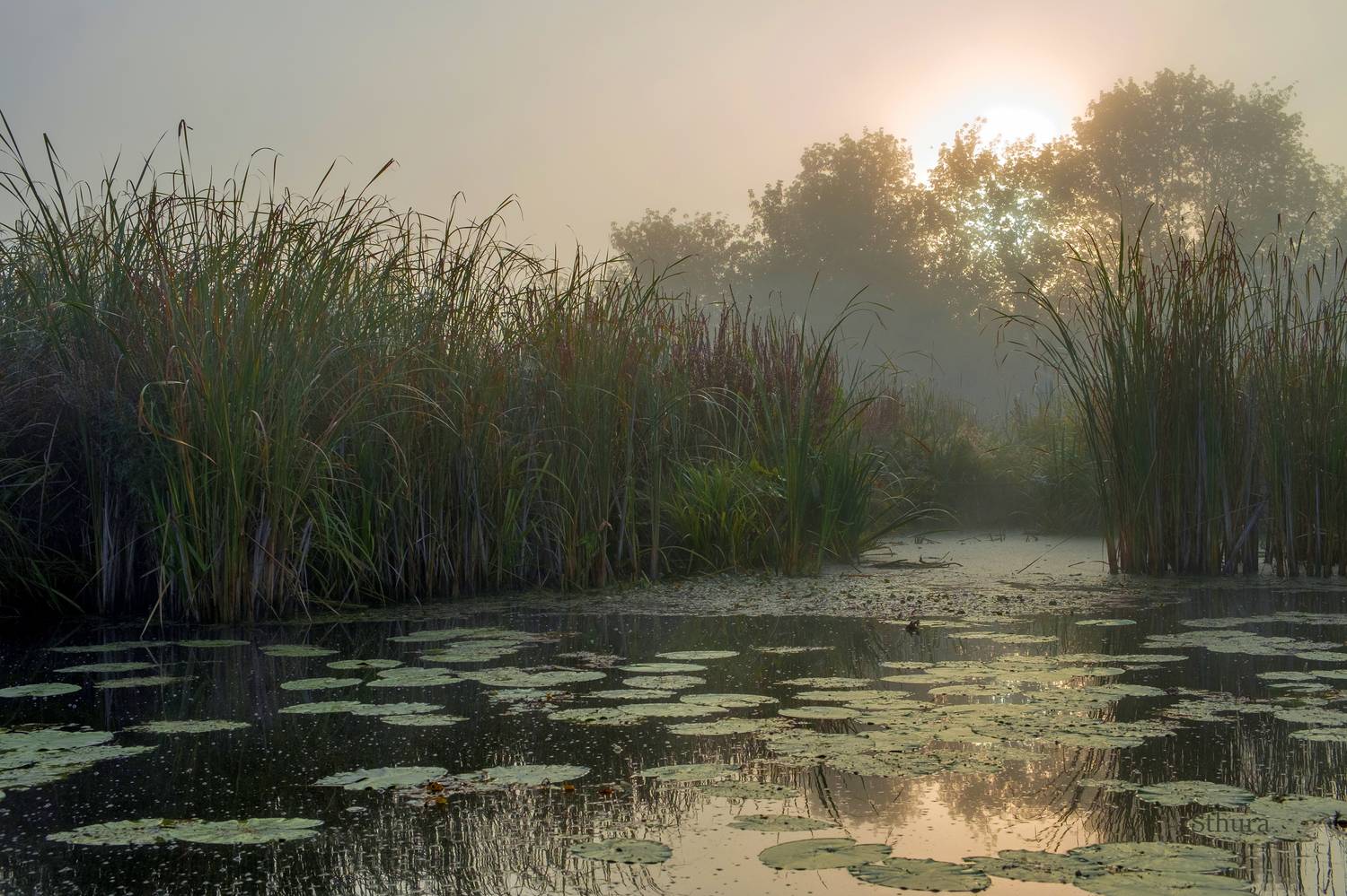 осень озеро рассвет туман пейзаж природа, Александр Строков