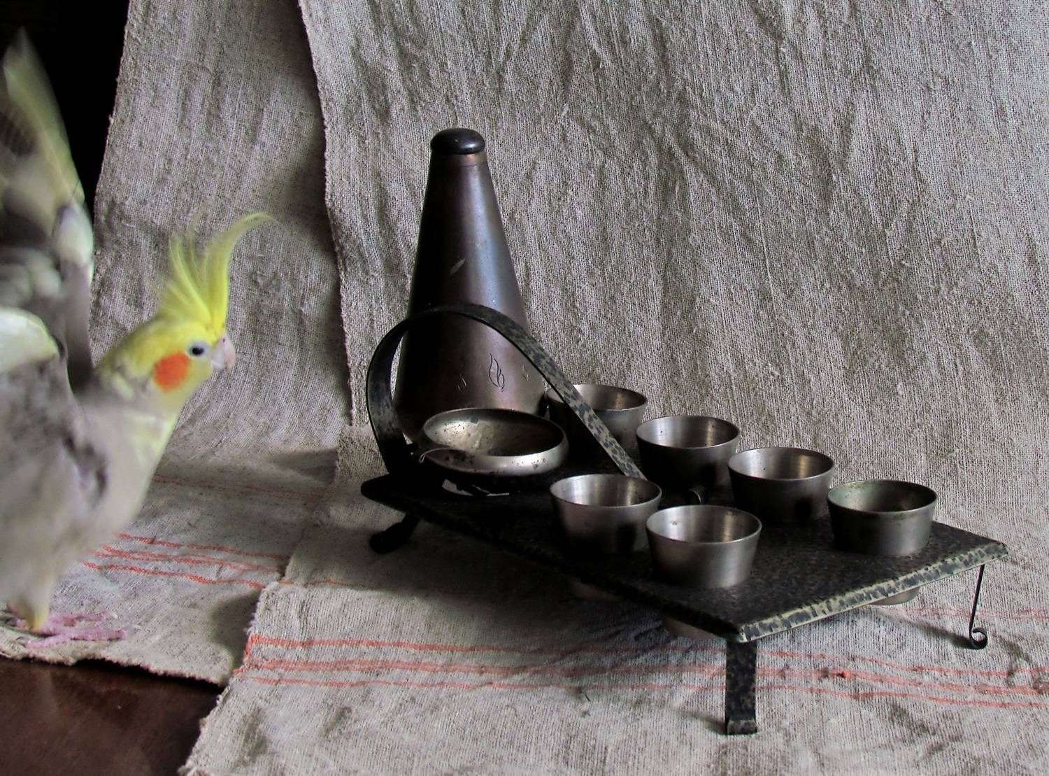 , Савоцкий Роман