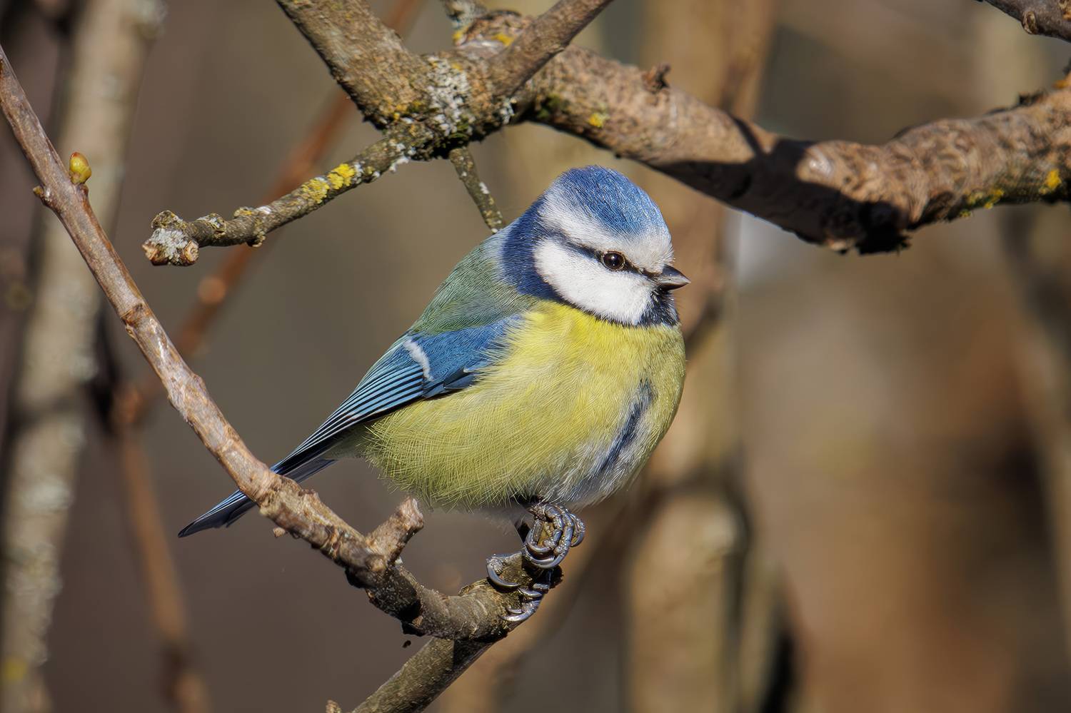 , Морозов Сергей