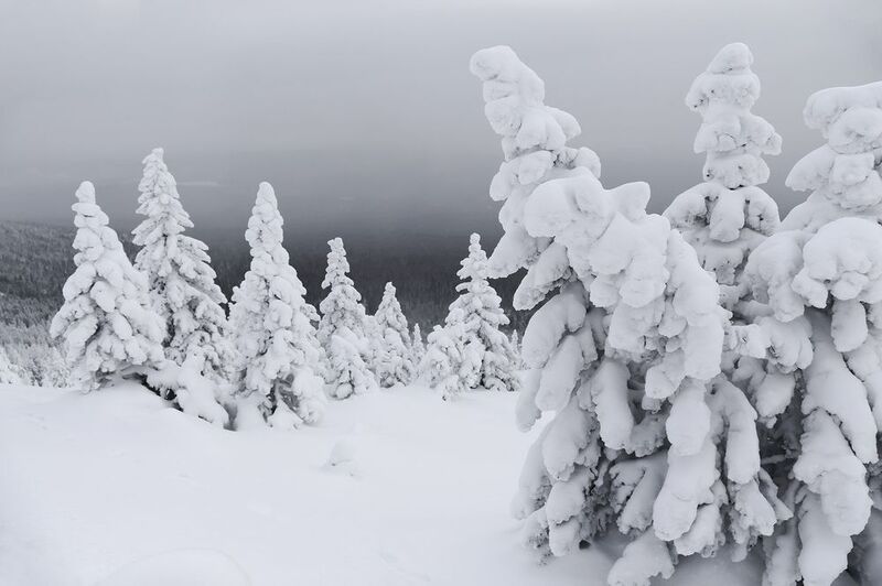 Зимний пейзаж, Уреньга, Южный Урал, Урал Классическая погода в Уральских горах фото превью