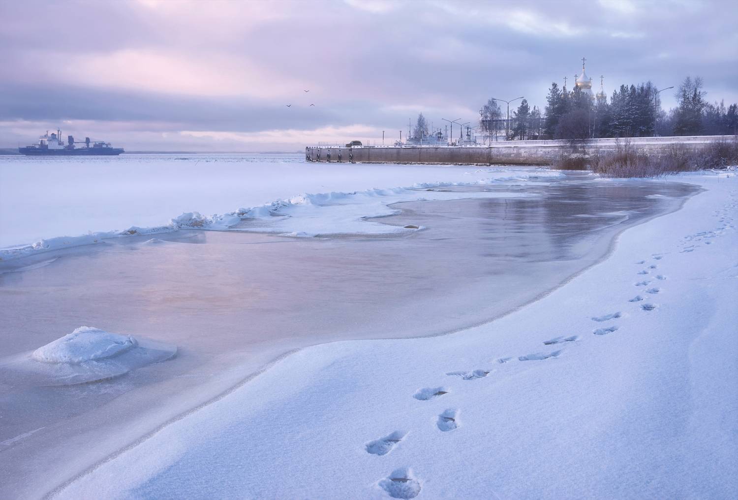 зима, декабрь, река, мороз, снег, лед, следы, деревья, кусты, набережная, архангельск, Вера Ра