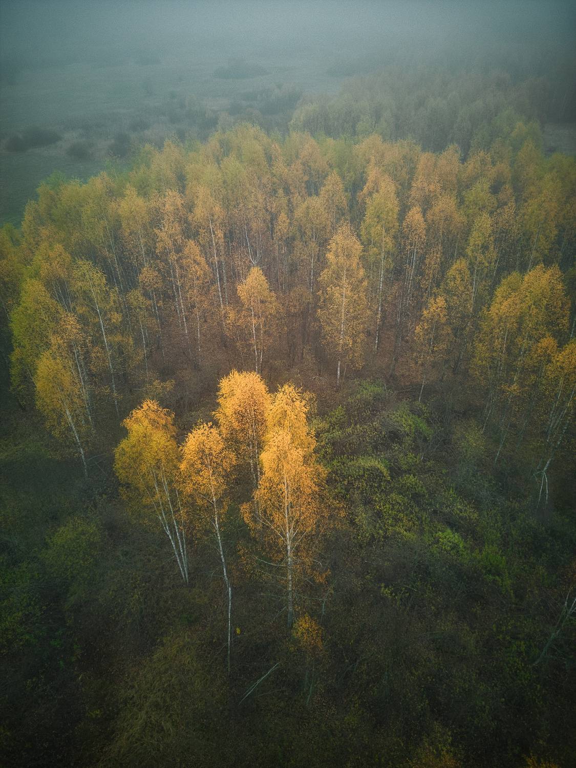 dji mini 3 pro, Аседач Александр