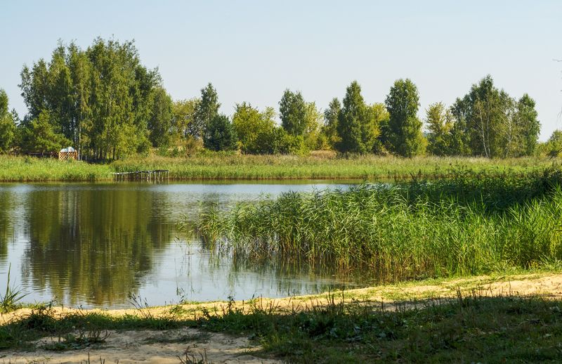 *** фото превью