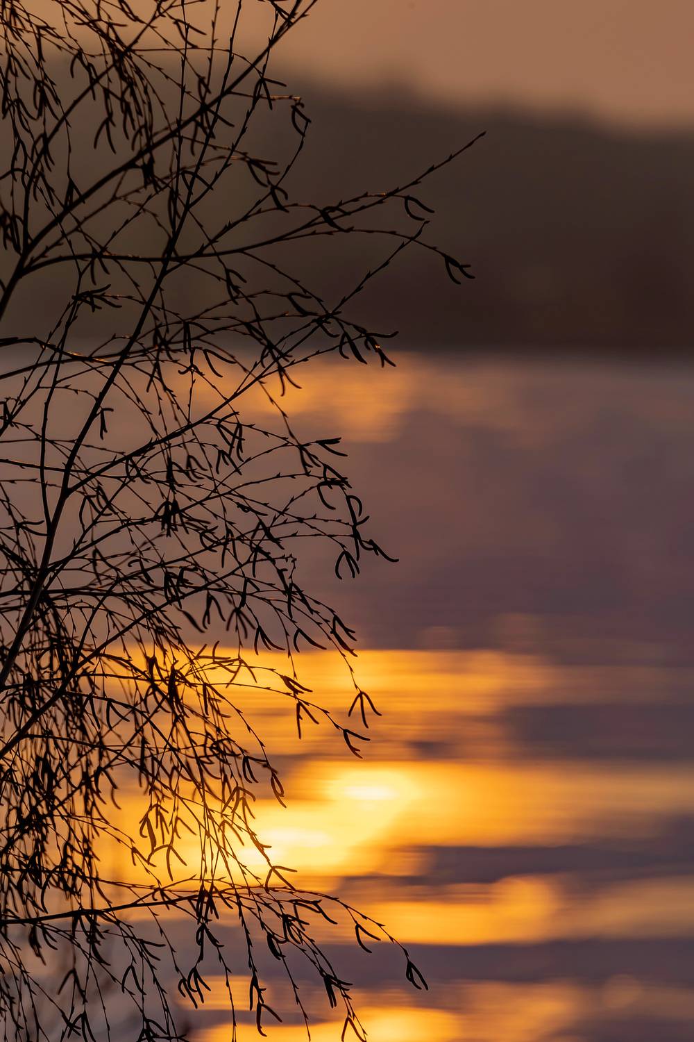 рассвет, отражение, волга, Подосинников Максим