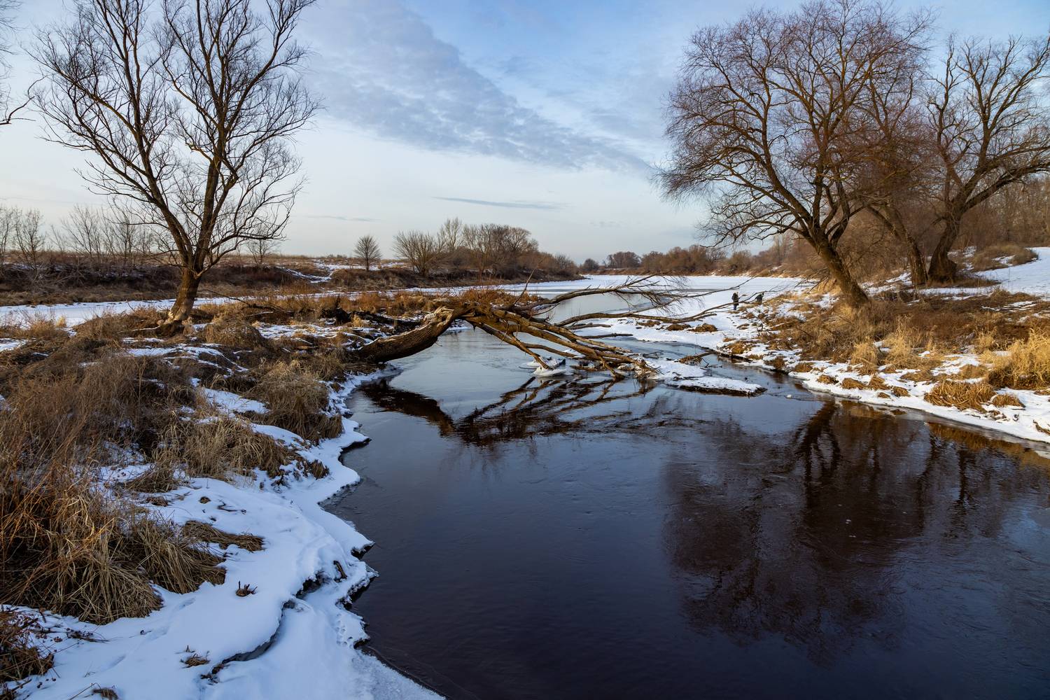 , Юрий Морозов