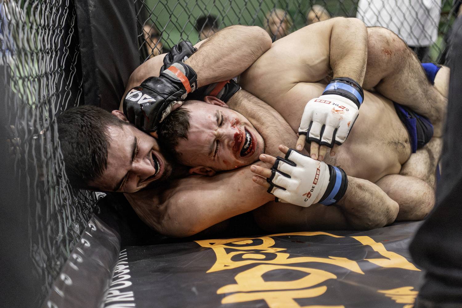 , Кулаков Юрий