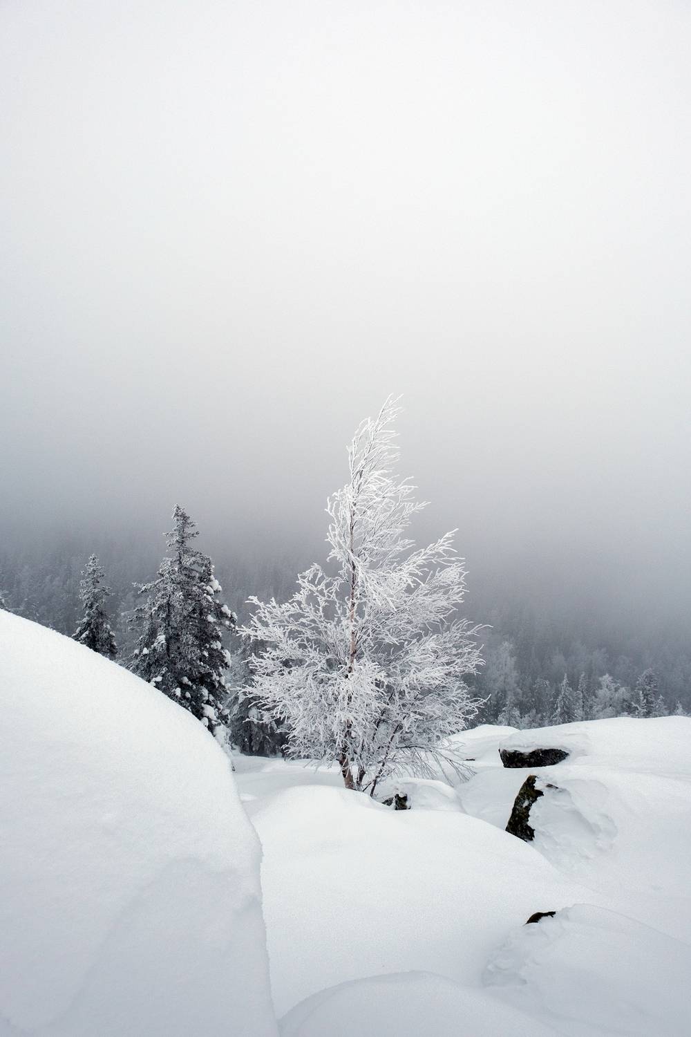 , Бодрягин Виталий