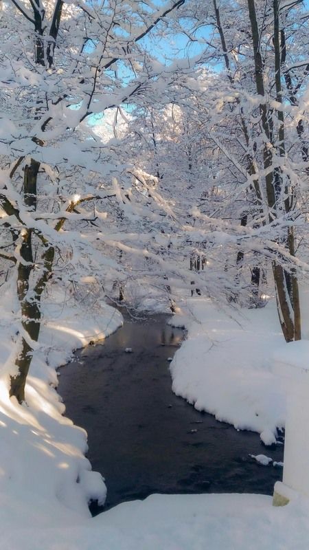 Зимы прощальный бал. фото превью