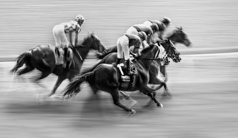 Horse Racing фото превью
