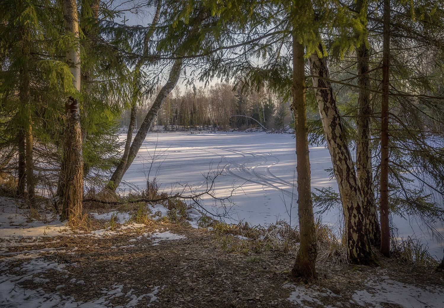 , Сергей Аникин