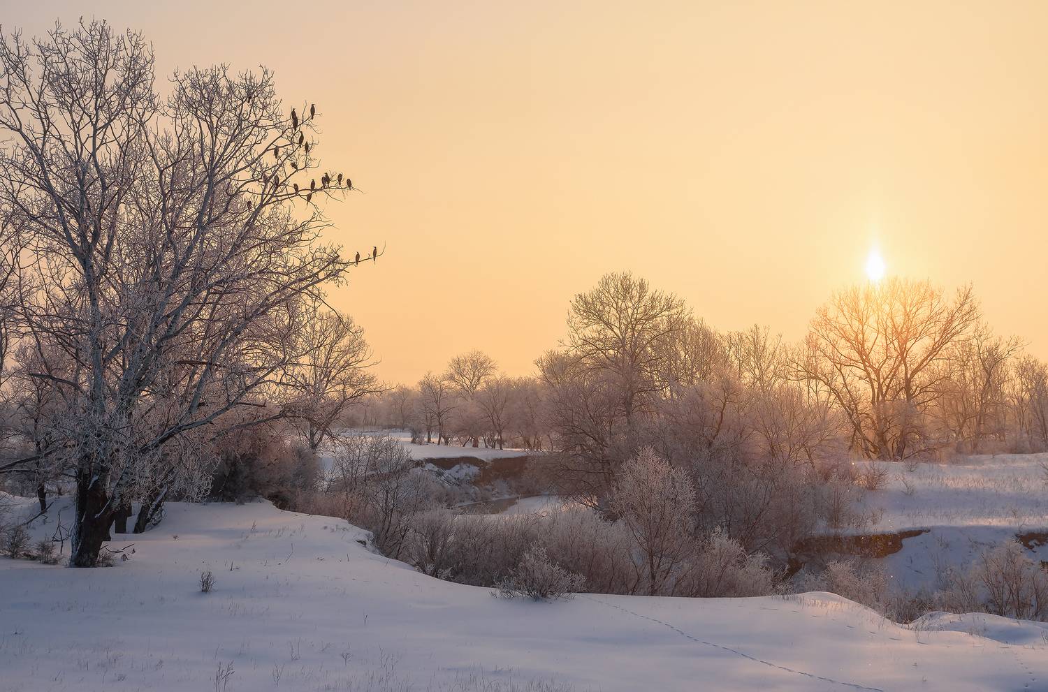 кавказ, кмв, кавказские минеральные воды, георгиевск, бакланы, зима, зимний рассвет, Zakharov Armen