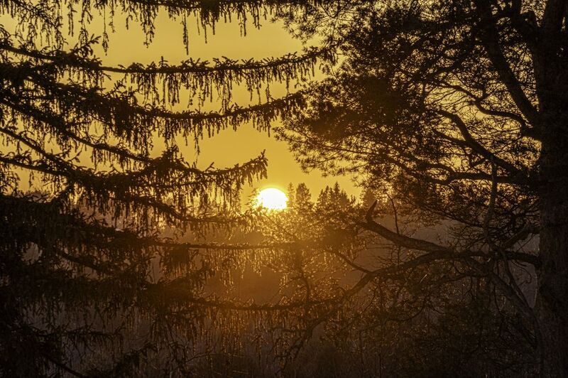 Московская область, Подмосковье, Сорочаны, закат Последнее зимнее Ярило фото превью