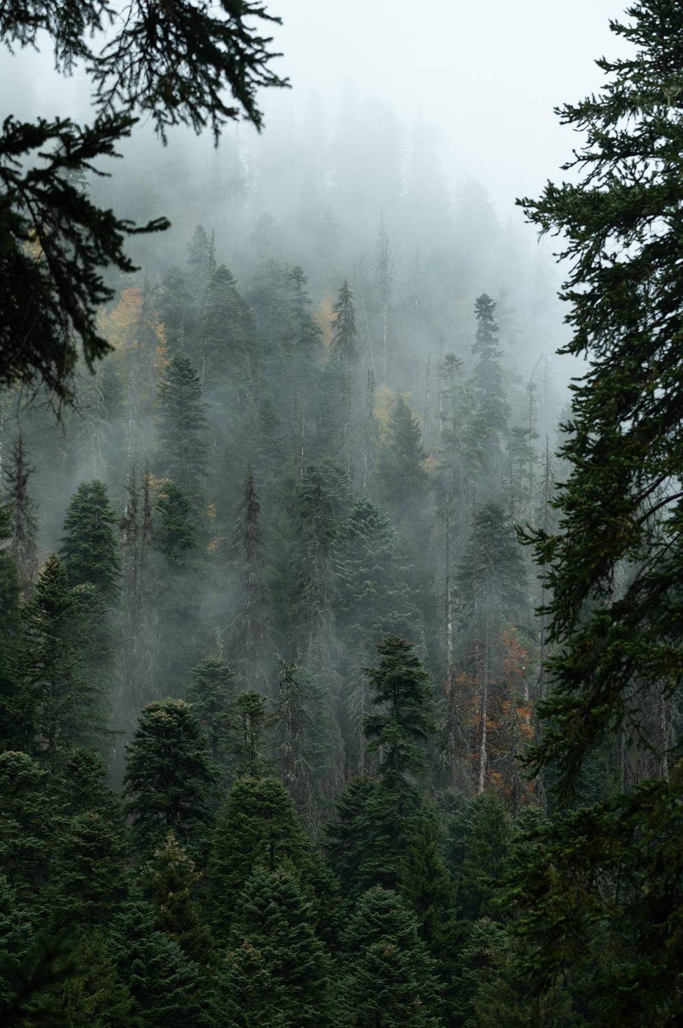 , Перевозчиков Андрей