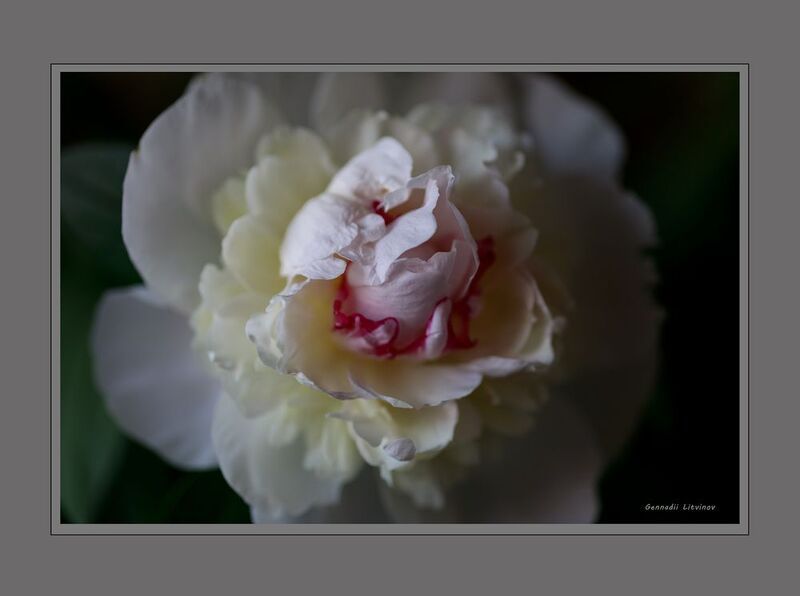 Этюд фото превью