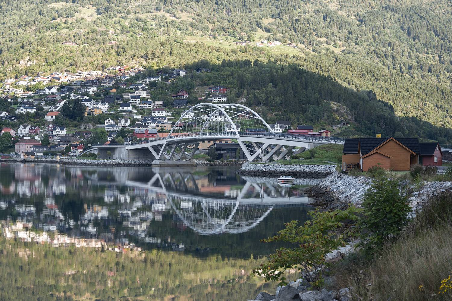 , Vladimir Vorobeychik