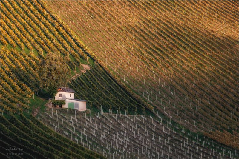 штирия,гамлитц,свет,австрия,gamlitz- sernau,landscape,панорама,осень,виноградники \