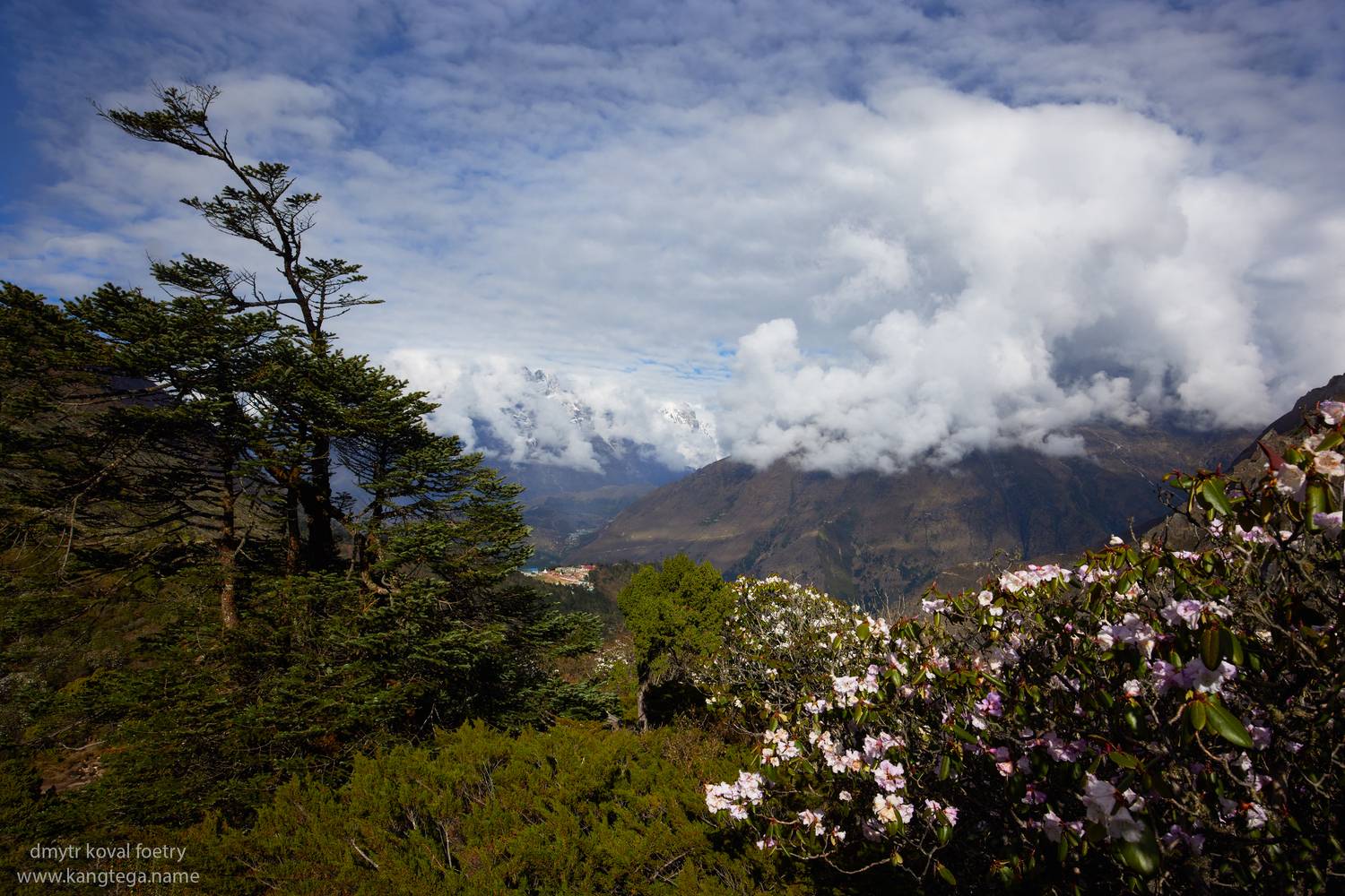 пейзажемагьё, пейзаж-как-виденье, Коваль Дмитр