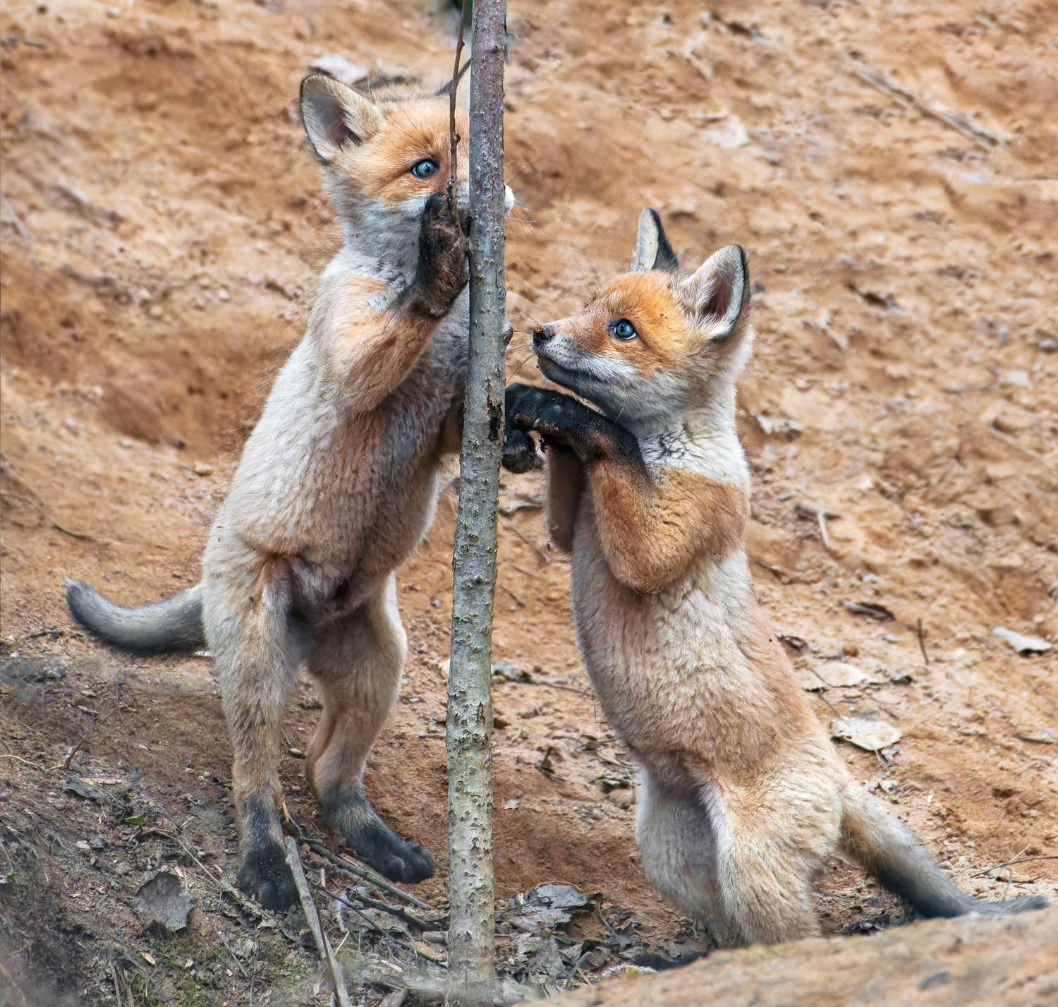 , Фото Александр