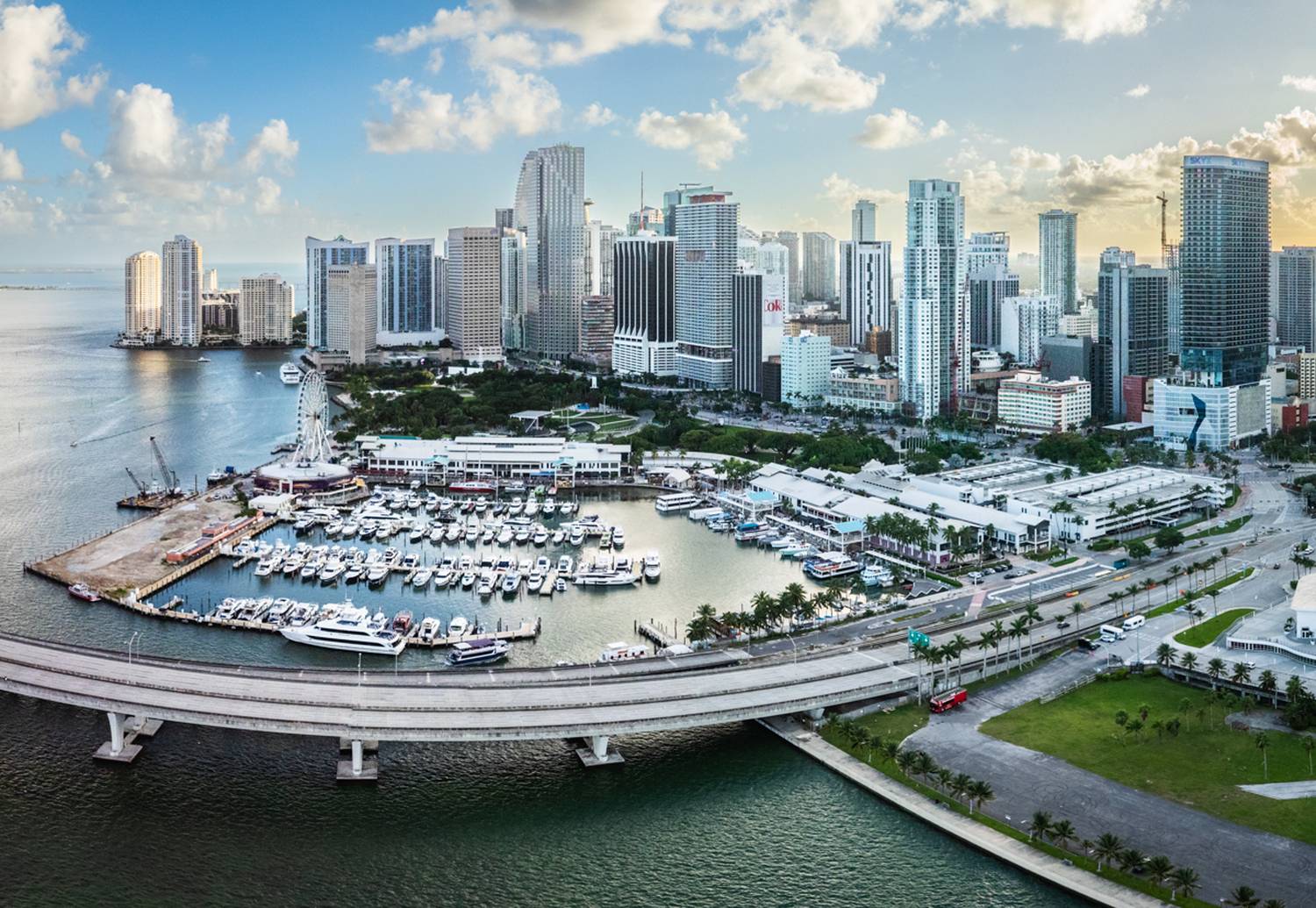 , Лозицкий Александр