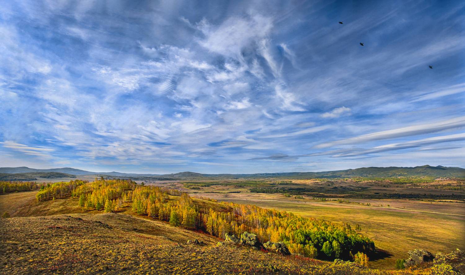 , Ушаков Валерий