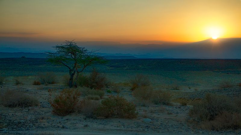 Рассвет в пустыне фото превью