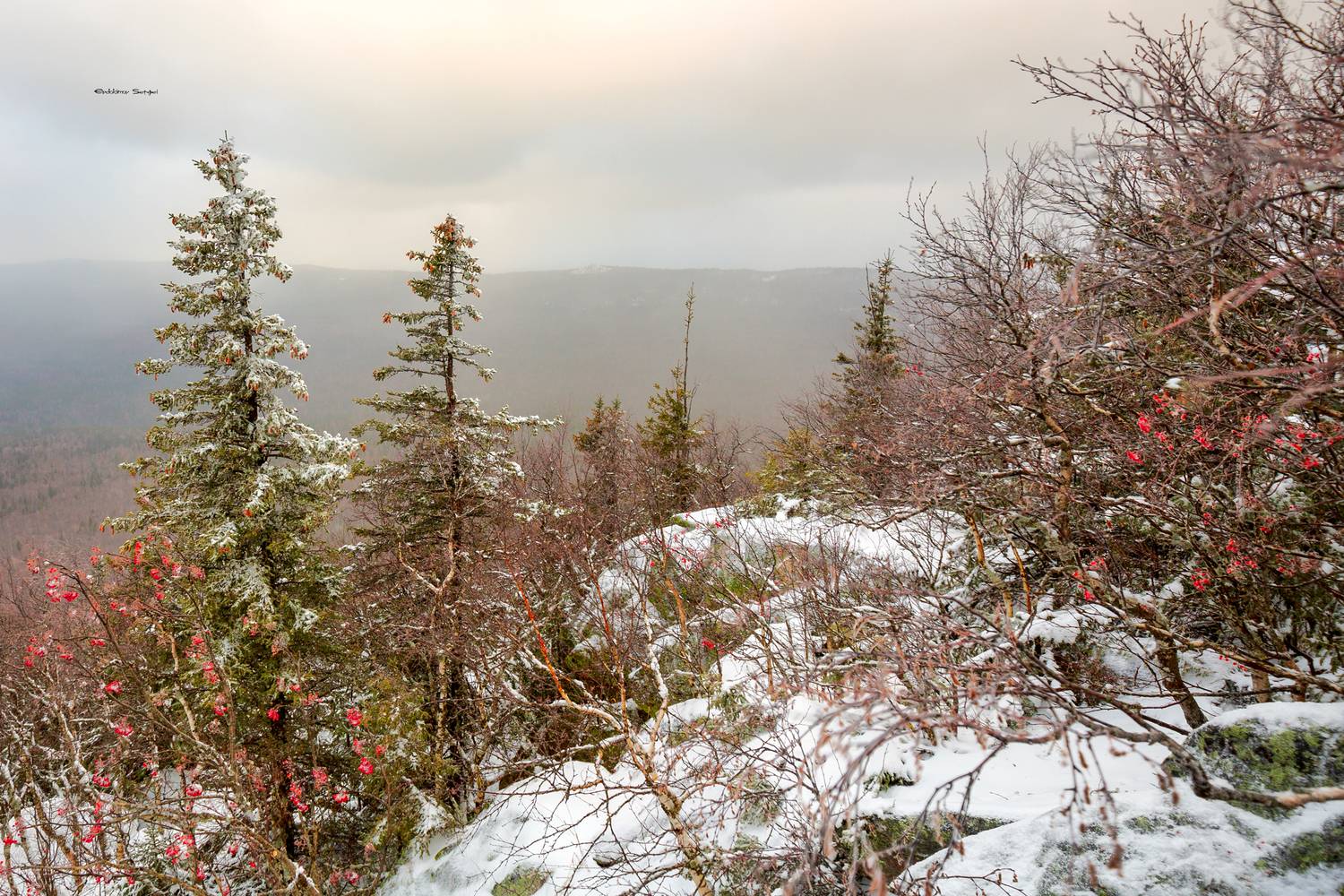 , Евдокимов Сергей