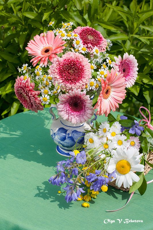 цветы натюрморт герберы Герберы и ромашки фото превью