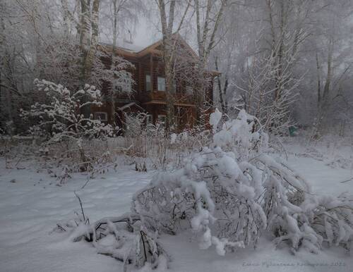 Тишина.Март. Всю ночь шёл снег...