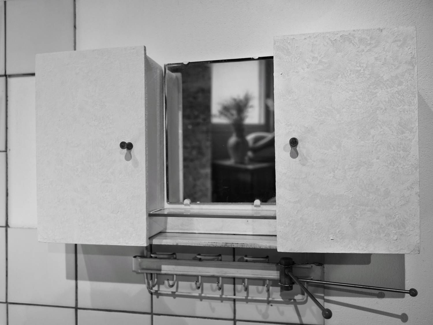 зеркало, я, Зорин Миша