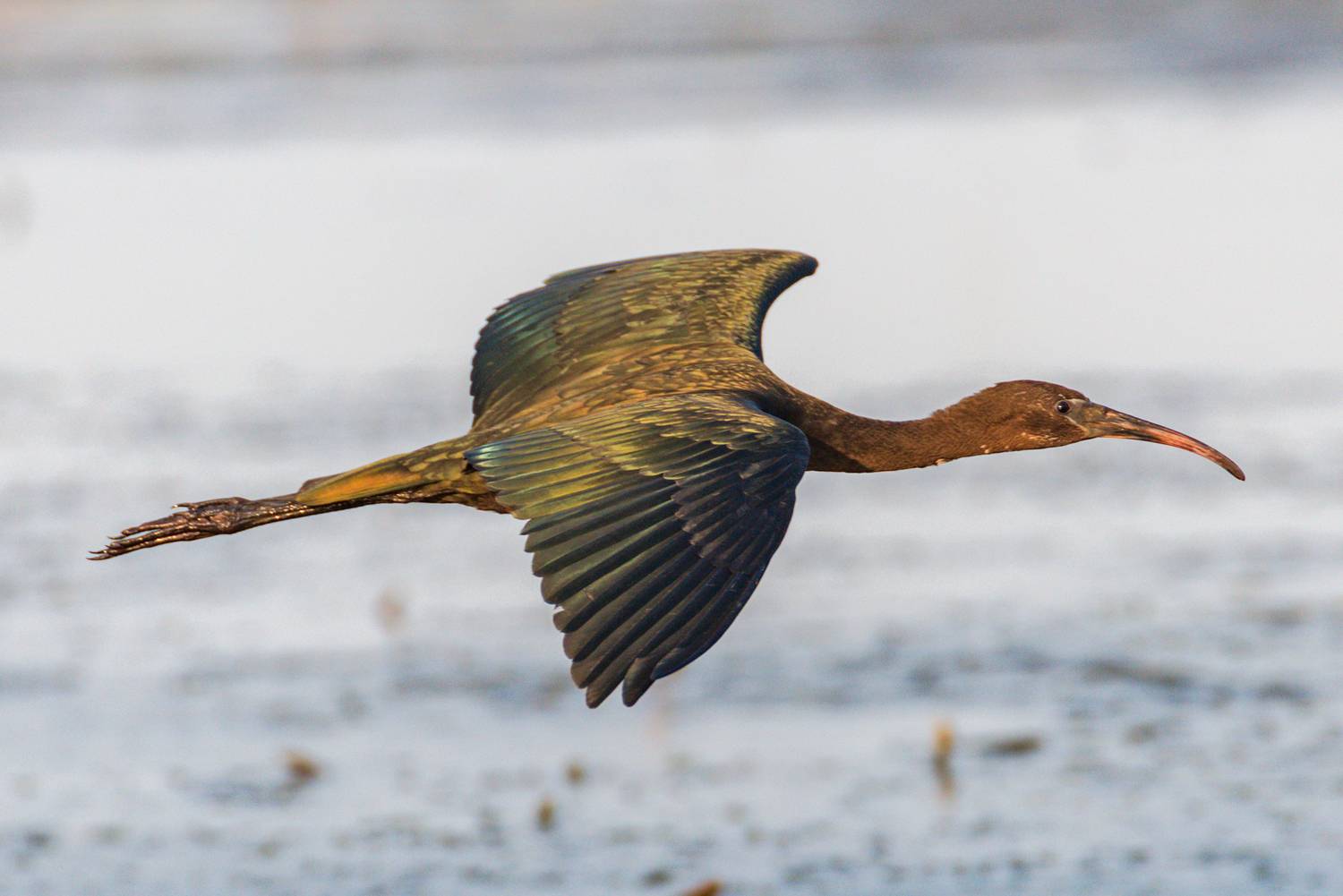 , Сергей Тихомиров