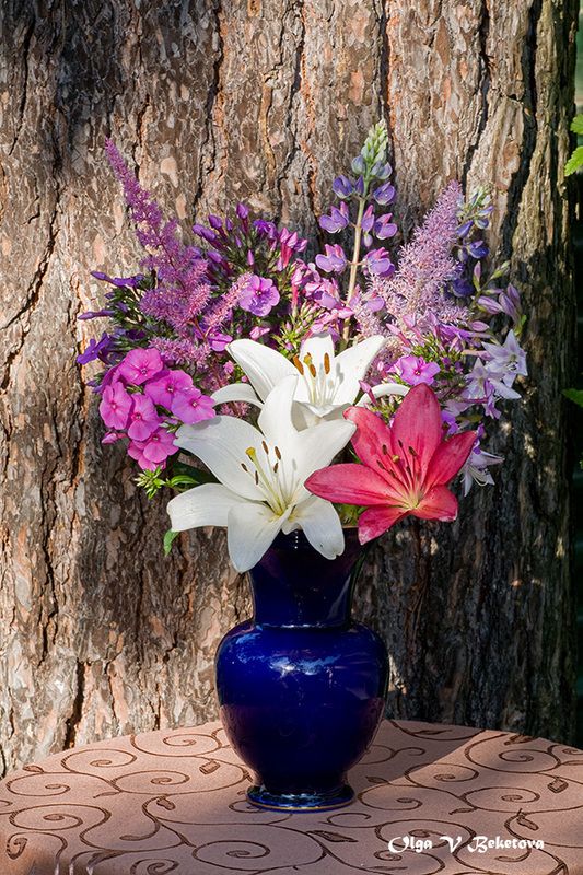 цветы, лилии, сосна, натюрморт Лилии на фоне сосны фото превью