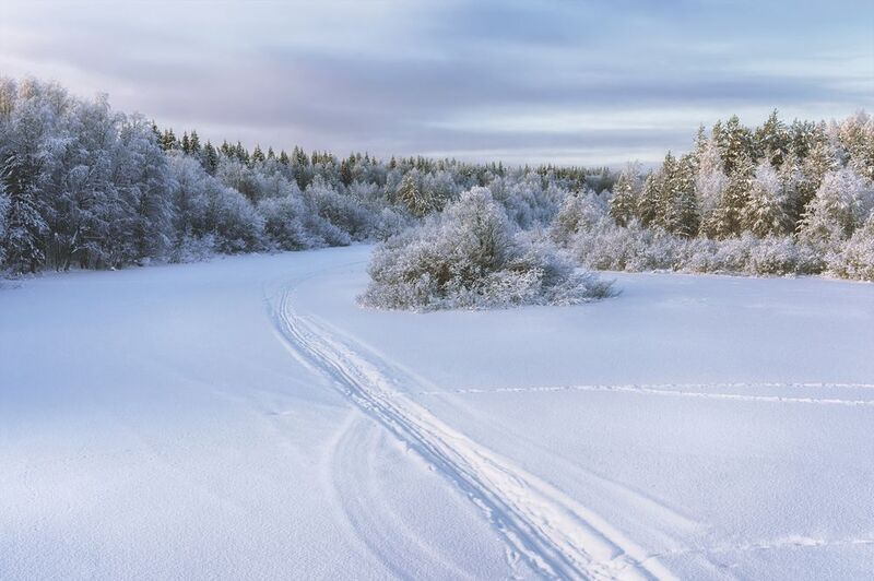 зима река след снег иней деревья кусты мороз След на изгибе застывшей реки... фото превью