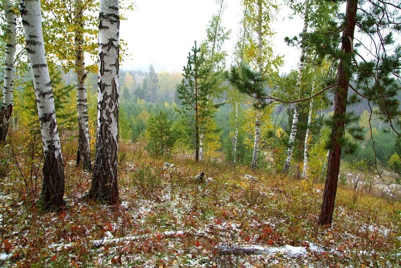 первый снег в горах фото превью