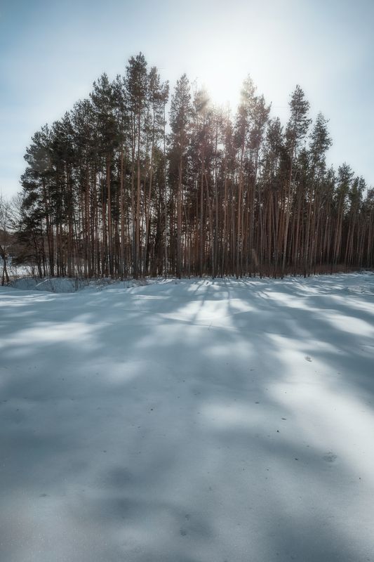 пейзаж, весна, природа, Московская область, март, весеннее солнце Март фото превью
