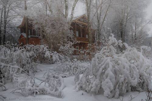 Тишина.Март