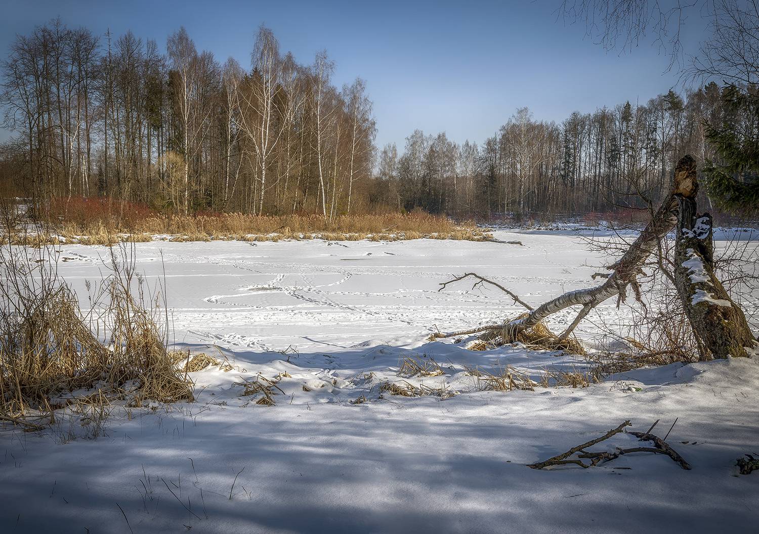, Сергей Аникин
