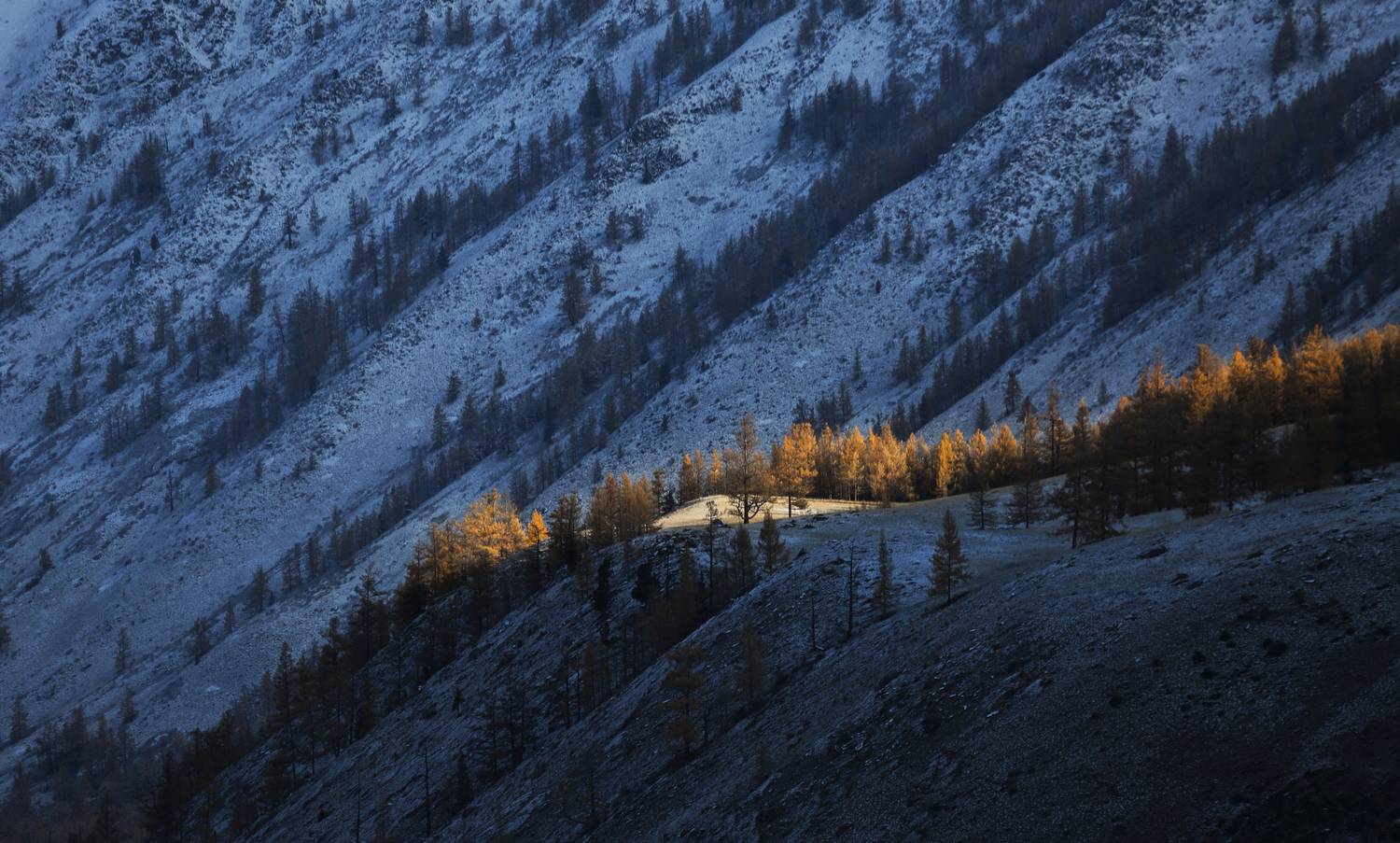горы утро зима рассвет снег деревья скалы пейзаж, Мурзинов Виктор