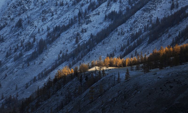 горы, утро, зима, рассвет, снег, деревья, скал Первый свет фото превью