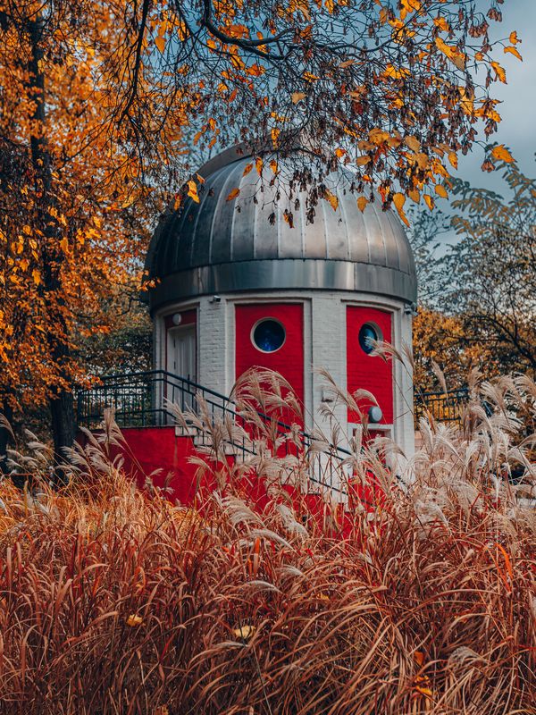 осень, москва ,паркгорького ,городской пейзаж ,осенние краски ,золотаяосень Одинокий рыцарь в ожидании ретроградного меркурия фото превью