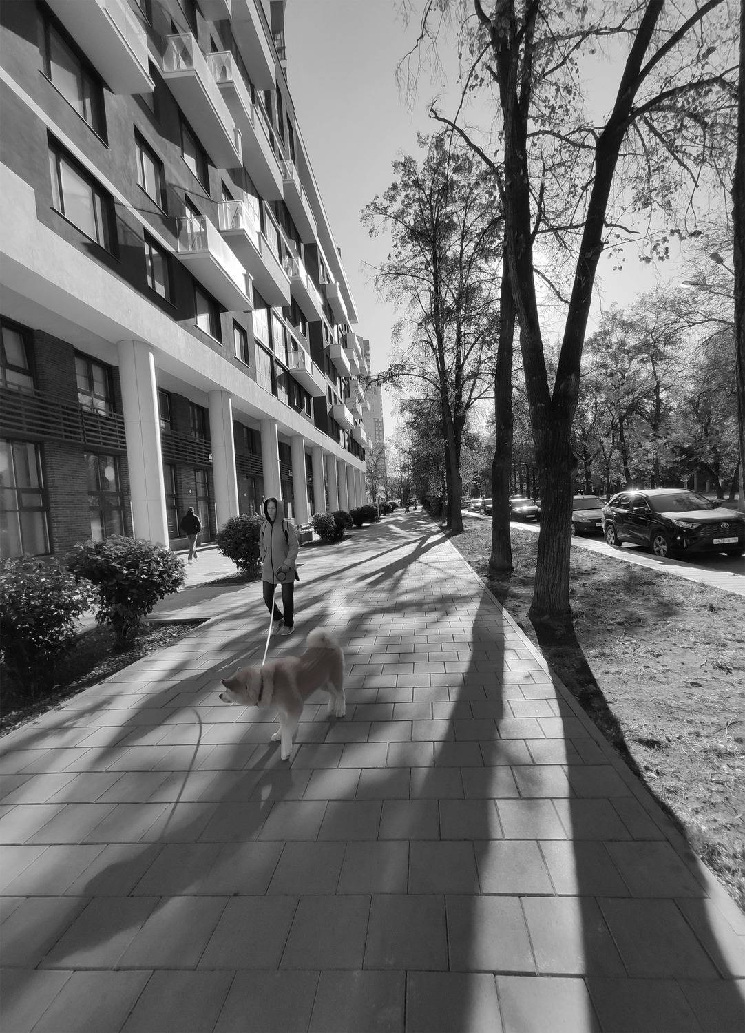 , Всеволод Сахновский