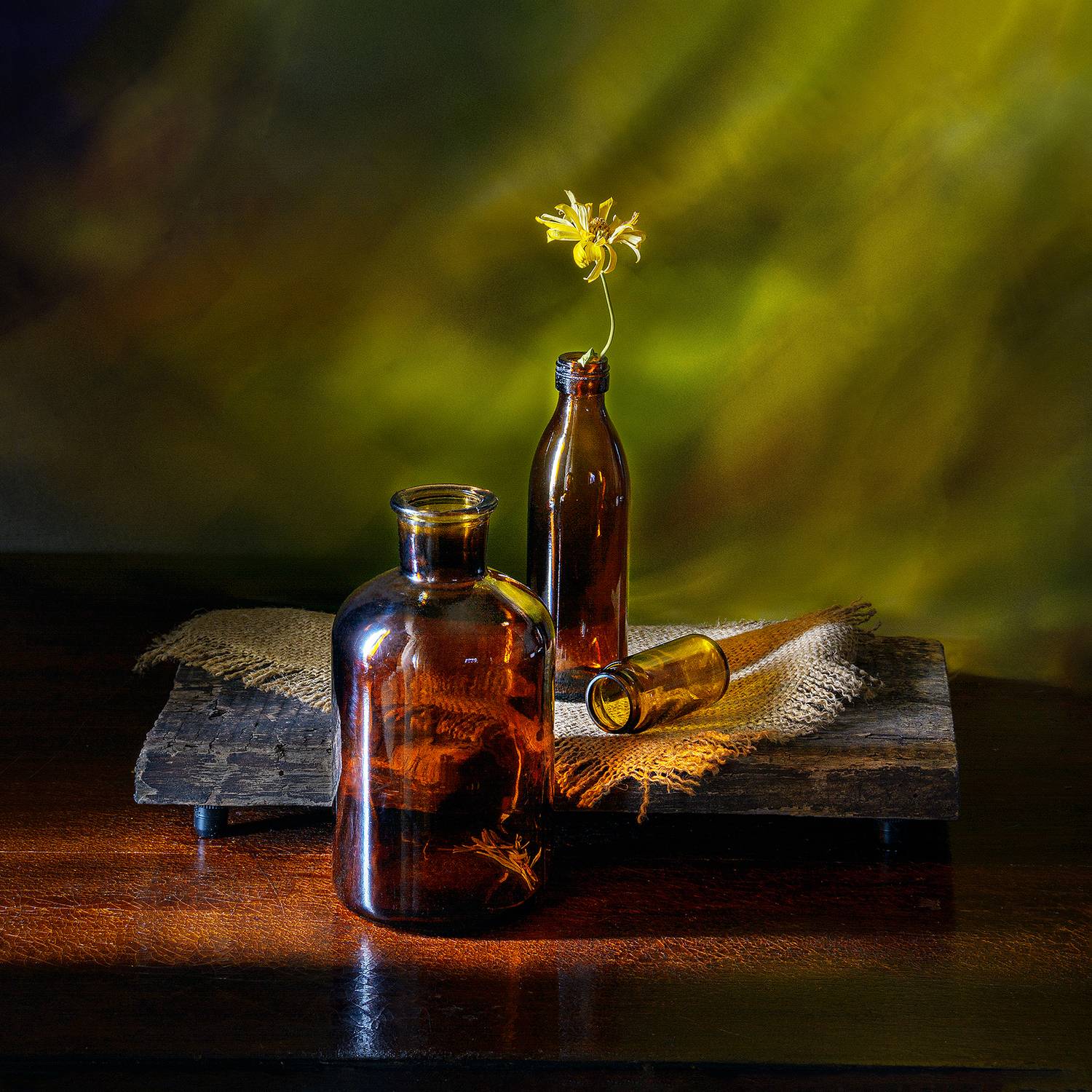 бутылка, пузыречки, цветок, сухой, коричневый, доска, тряпка, Алексей Бычков