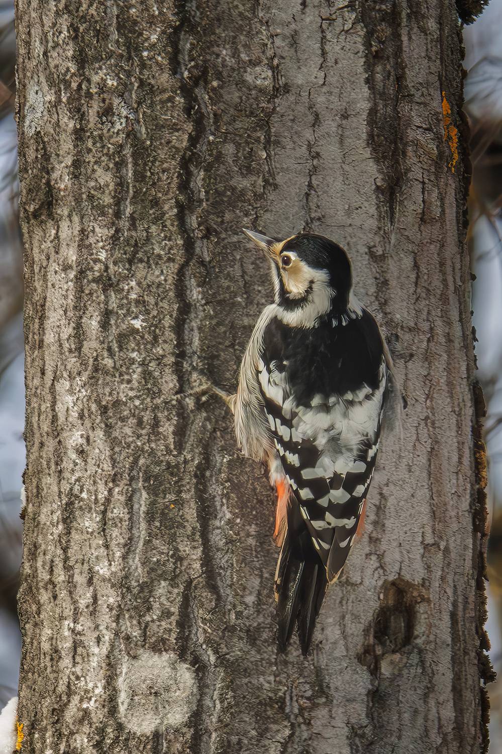 , Морозов Сергей