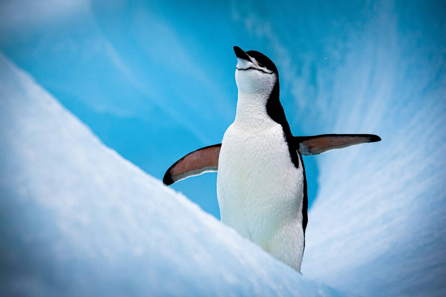 , Сулоев Алексей