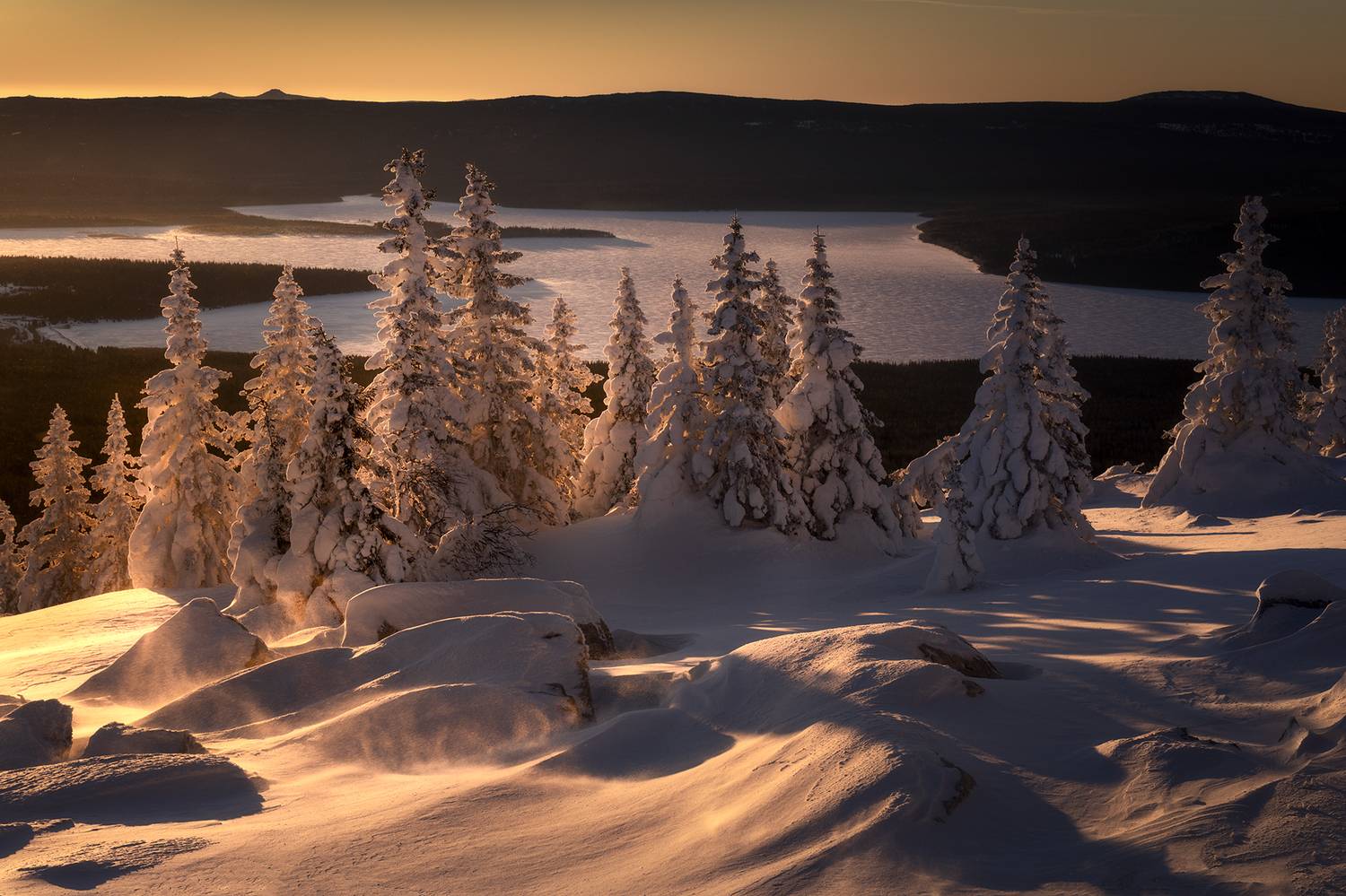 , Татьяна Бирюкова