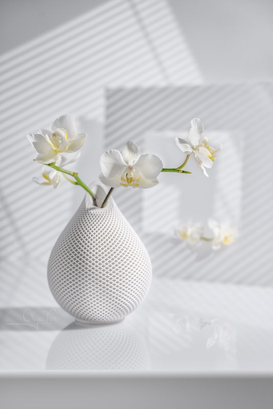орхидея, белый цвет, цветы Нежная весна фото превью