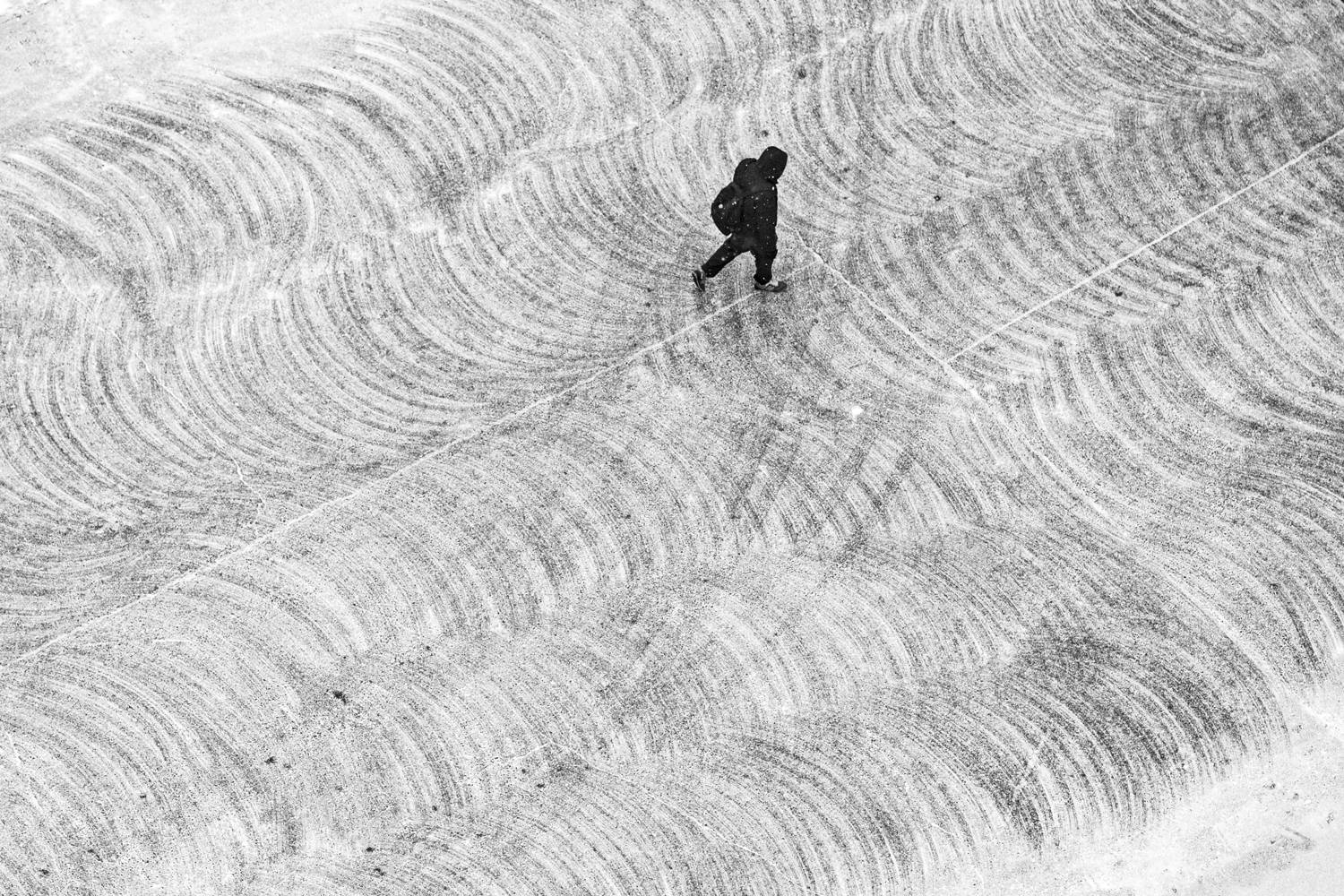 , Алексей Федотов