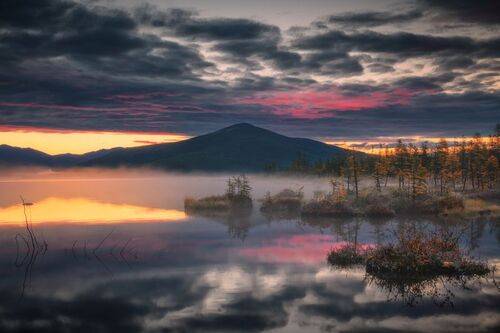 Тревожное утро...