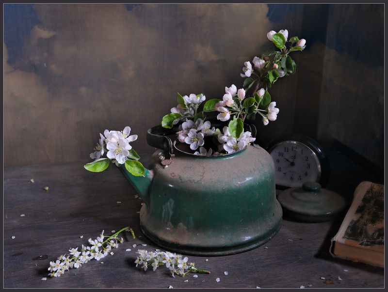 Весенний сон фото превью