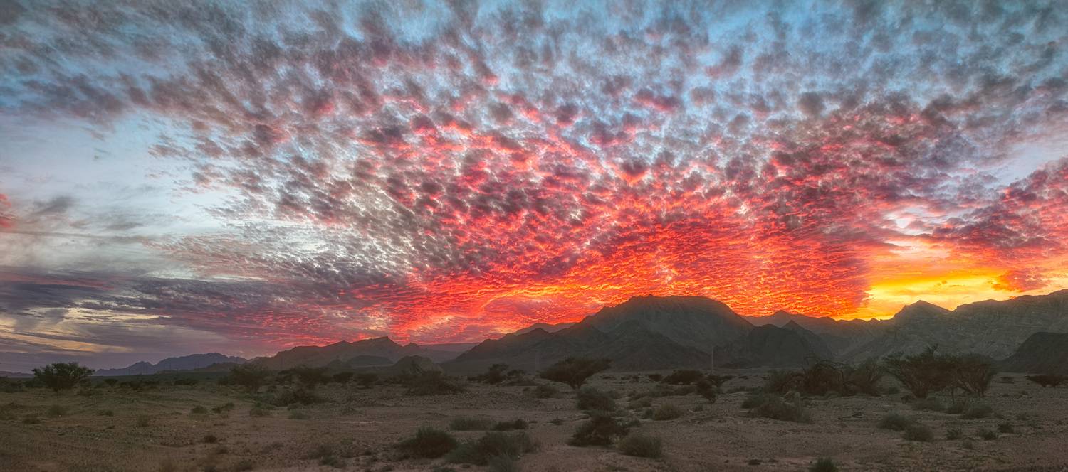 , Шварцман Евгений