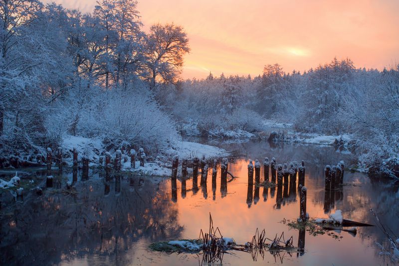 ******** фото превью